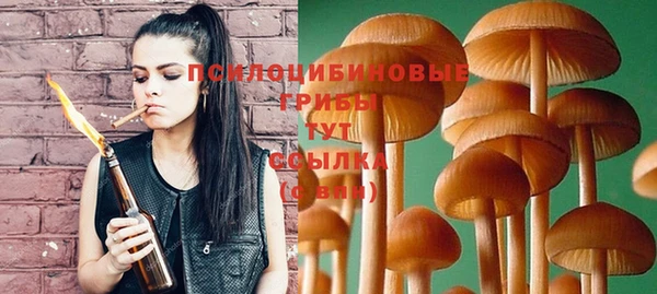 бошки Покровск