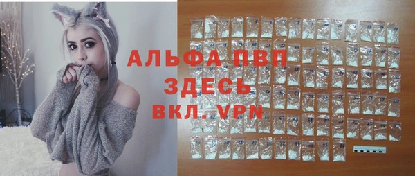 гашик Покров