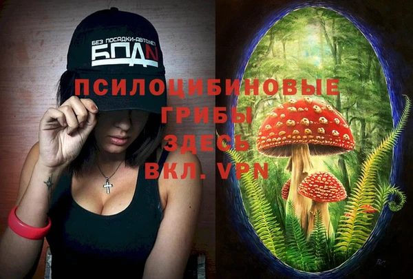 дживик Покачи